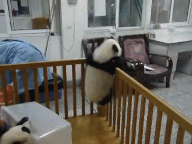 Baby Panda Crib Escape