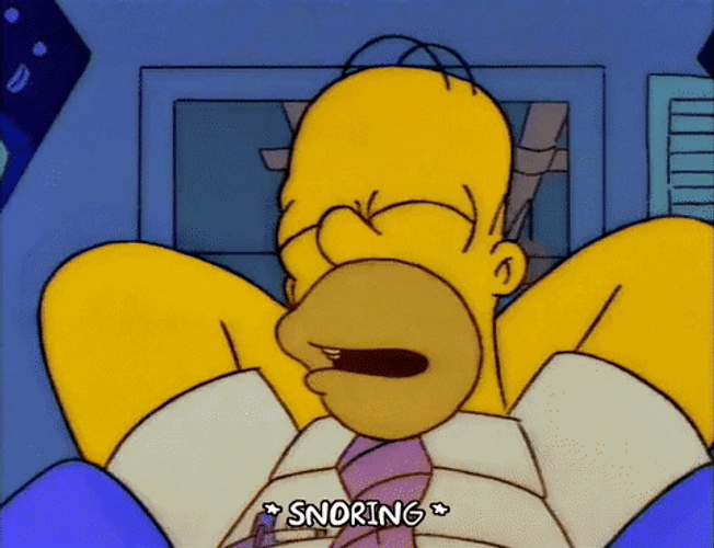 Homer Sleeping At Work