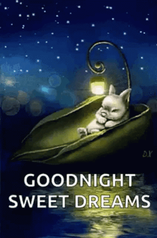 Good Night Sweet Dreams Sleeping Bunny