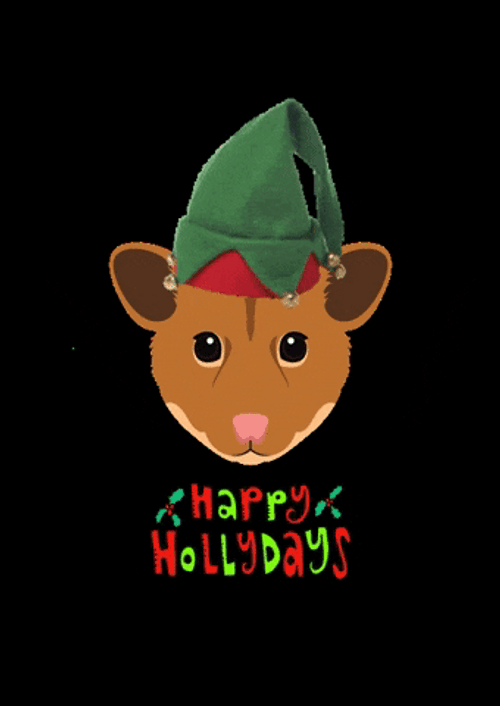 Happy Holidays Hamster