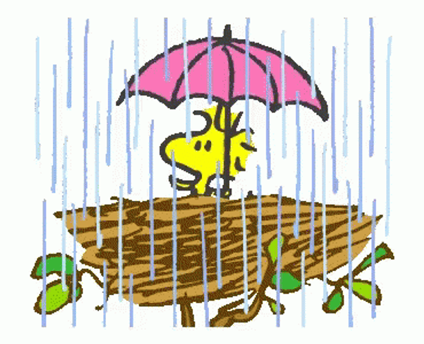 Snoopy Woodstock In Rain
