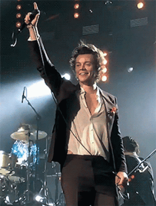 Harry Styles Hands Up Concert