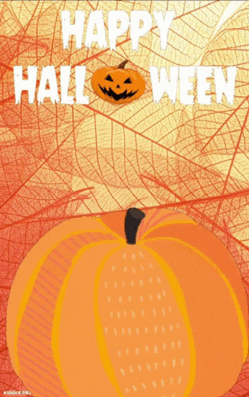 Happy Halloween Witch Jack O& Lantern