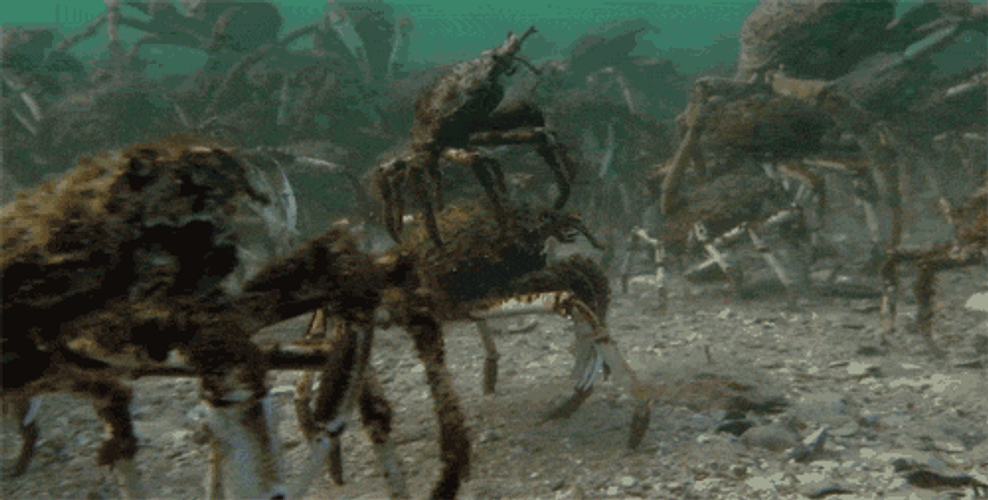 Crab Funny Underwater Ride
