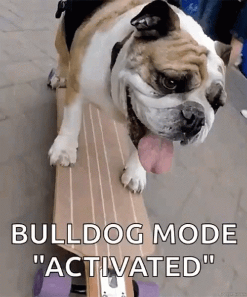 Bulldog Mode Activated Skateboarding
