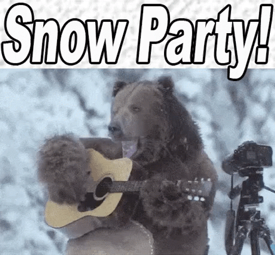 Bear Snow Party
