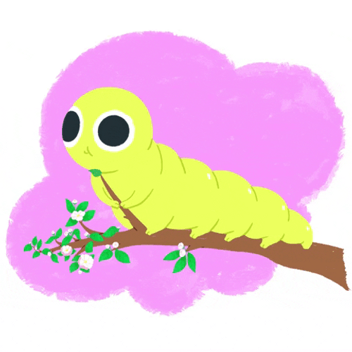 Yellow Caterpillar Eating Leaves