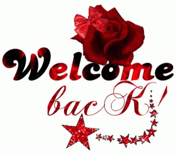 Welcome Back Red Rose