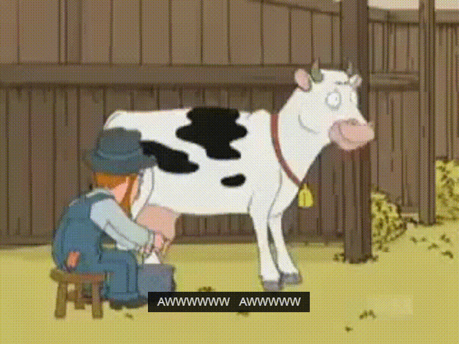 Cow Milking Pain