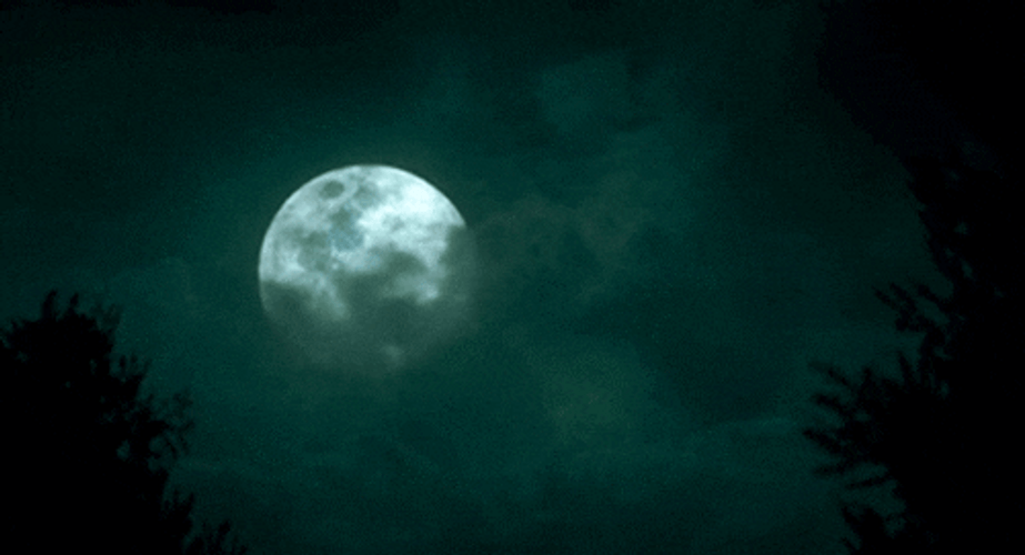 Full Moon On Dark Foggy Night