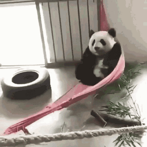 Panda Rest Hammock Swing