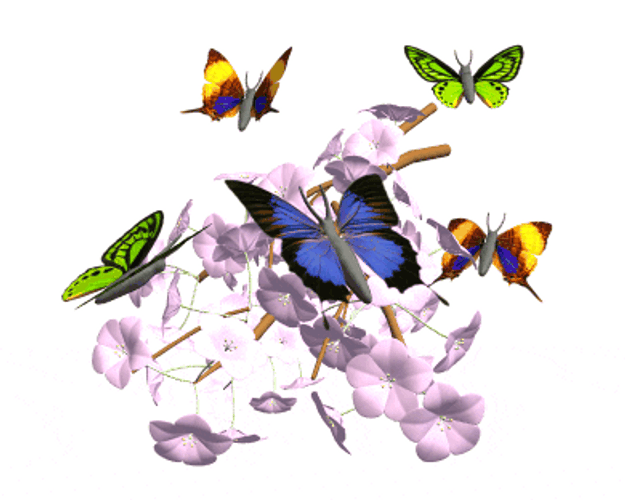 D Butterflies On Flowers