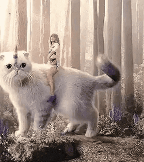 Fantasy Cat Taylor Swift