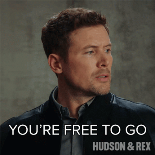 Charlie Hudson You&re Free To Go