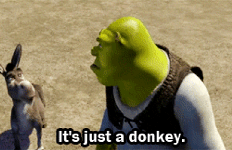 Shrek Just A Donkey