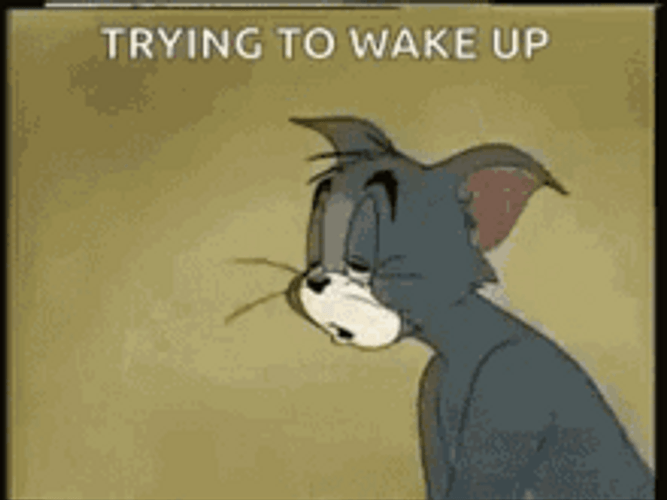 Tom Trying To Wake Up