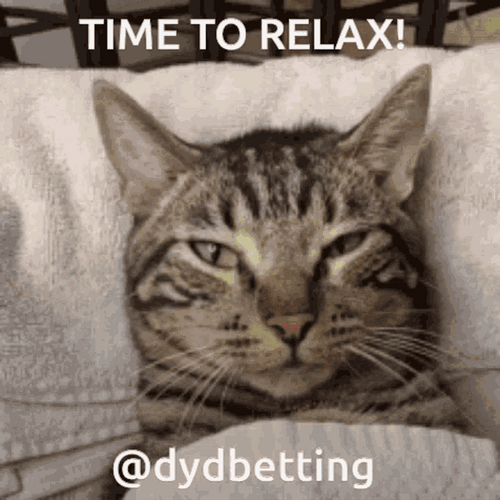 Time To Relax Cat