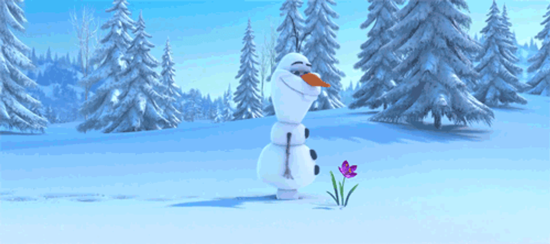 Olaf And A Flower In Snow
