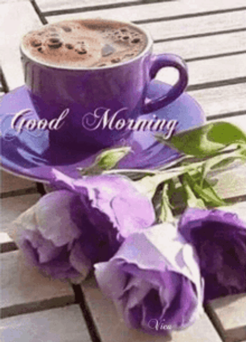 Morning Violet Rose