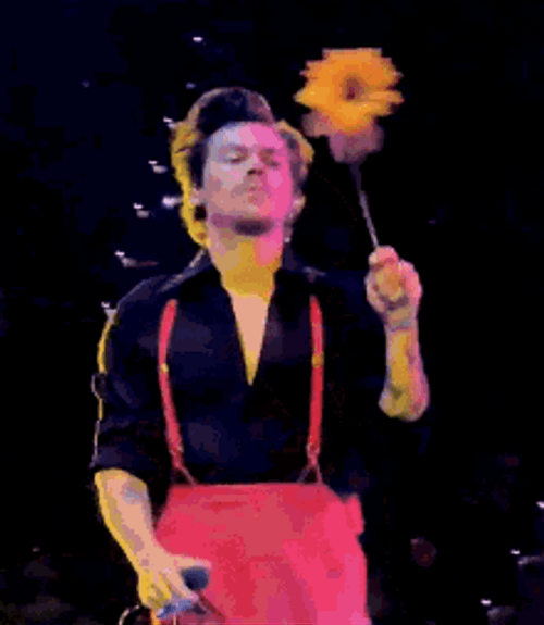 Harry Styles Retro Dancing Flower