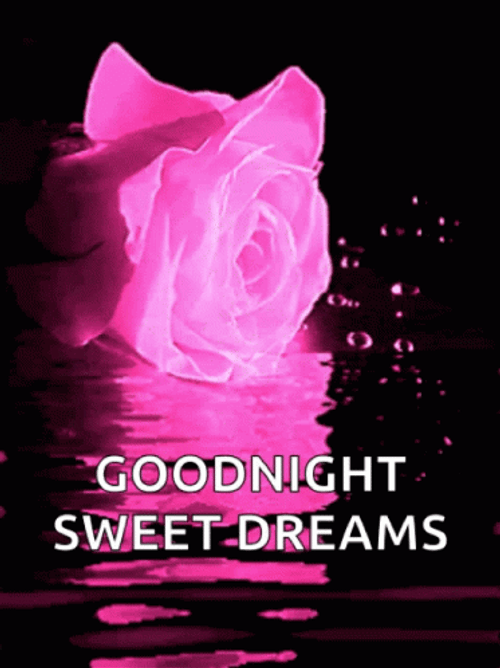 Good Night Sweet Dreams Neon Rose