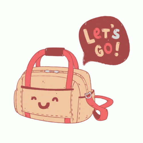 Let&s Go Travel Bag