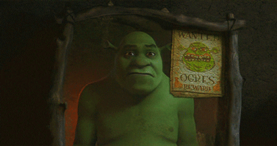 Shrek In Mirror