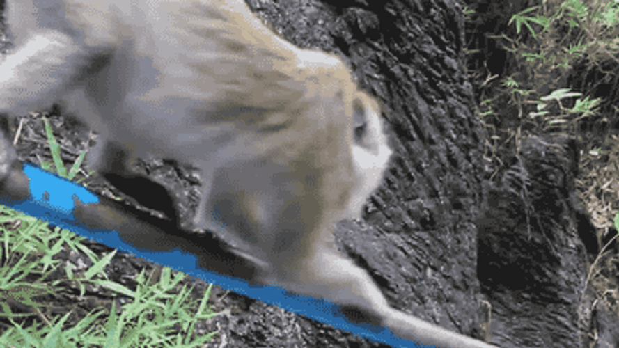 Speed Up Monkey Railing Slide