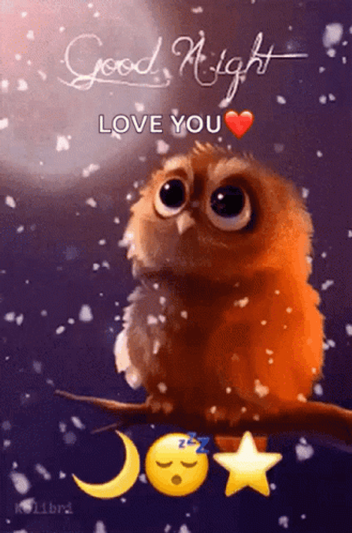 Love Good Night Hopeful Owl