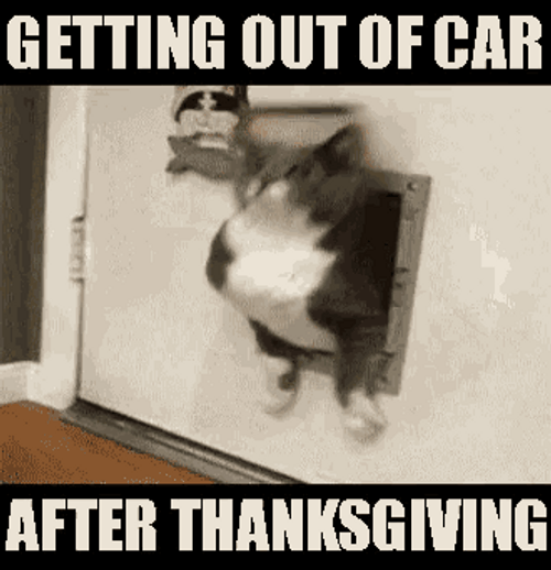 After Happy Thanksgiving Meme