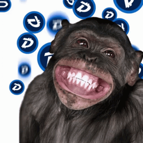 Animated Monkey Smile
