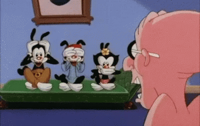 Animaniacs Characters Covering