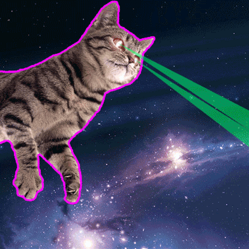Space Laser Cat