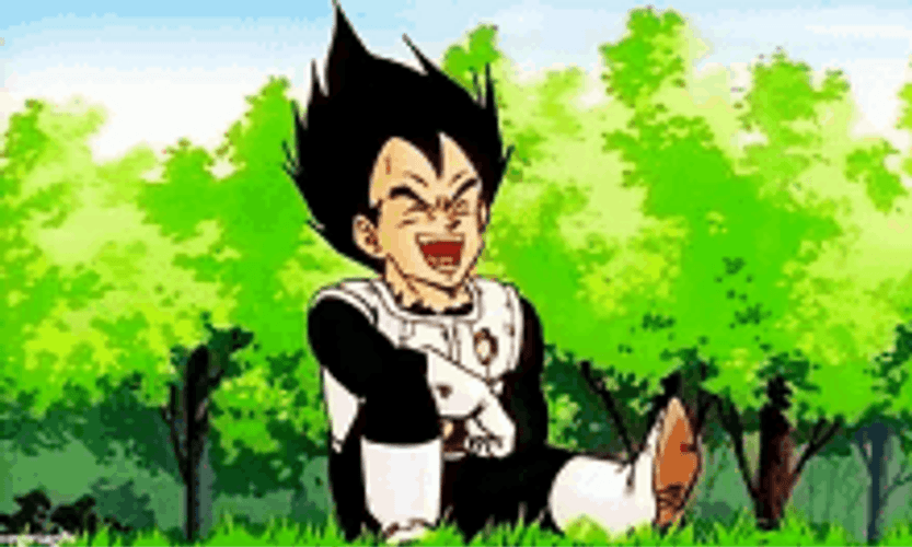 Dragon Ball Prince Vegeta Laughing
