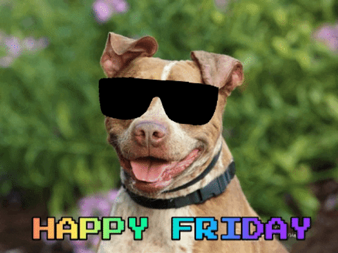 Happy Friday Thug Life Dog