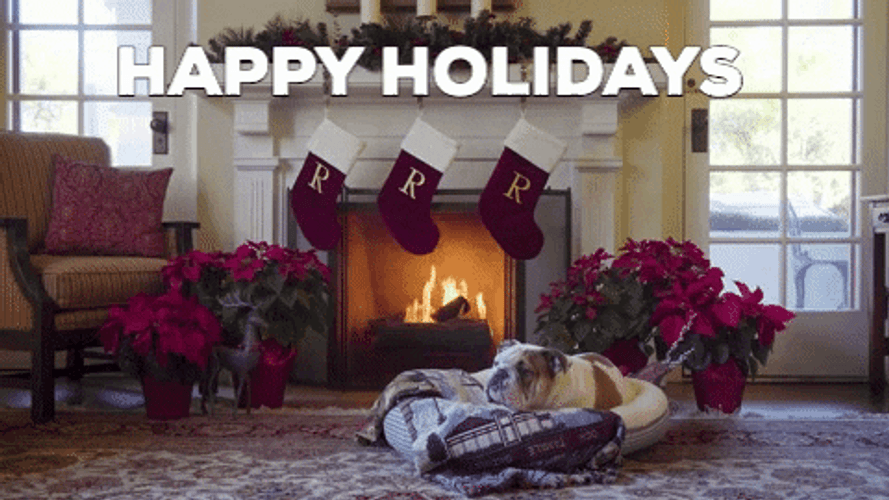 Happy Holidays Cozy Dog