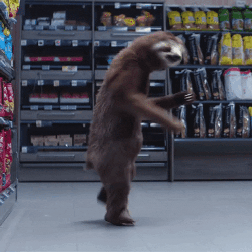 Sloth Energetically Dancing