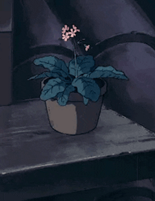 Aesthetic Anime Kiki&s Plant Rain