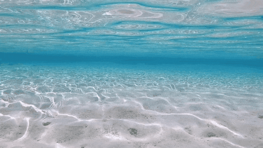 Clear Water Under The Sea