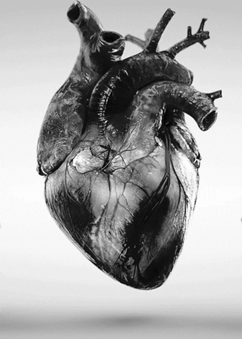 Beating Human Heart