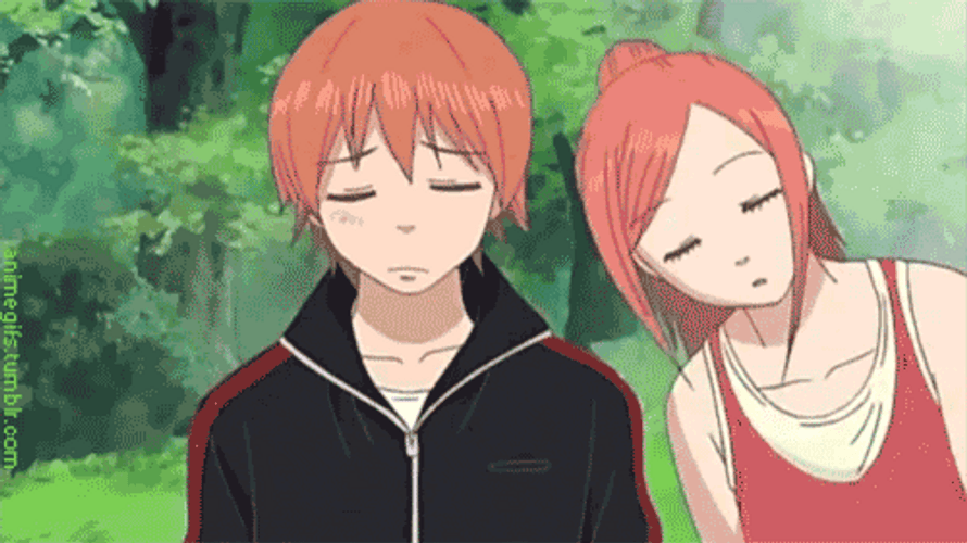 Anime Couple Risa Heikichi
