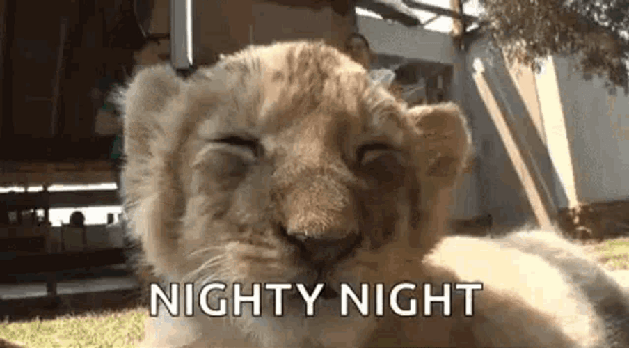 Lion Cub Nighty Night