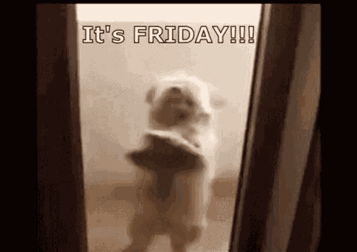 Its Friday Puppy Door Dance