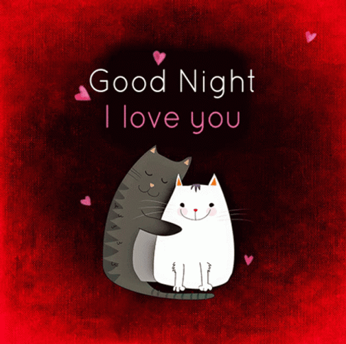 Love Good Night Cat Hug