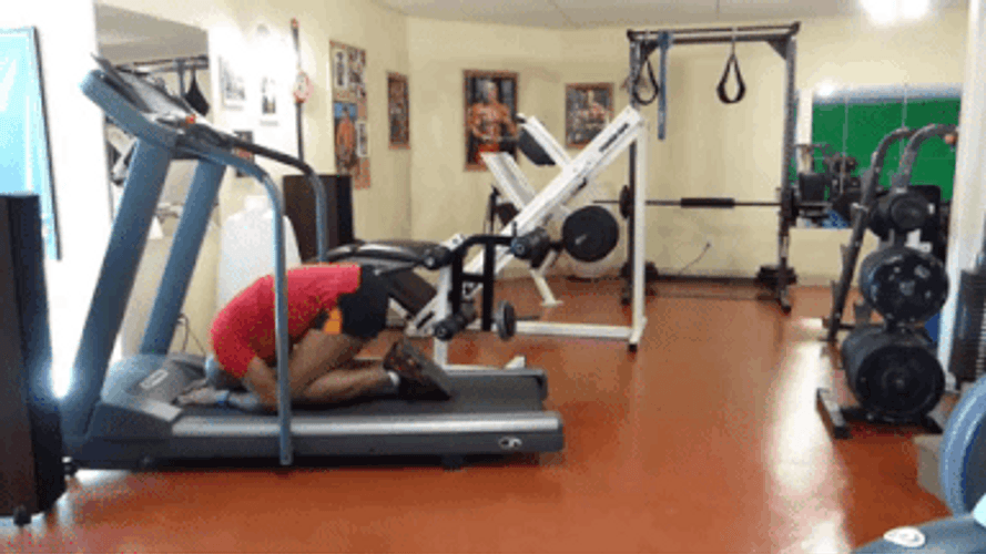 Exercise Fail Treadmill Sleep