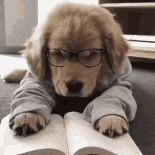 Tired Dog Studying