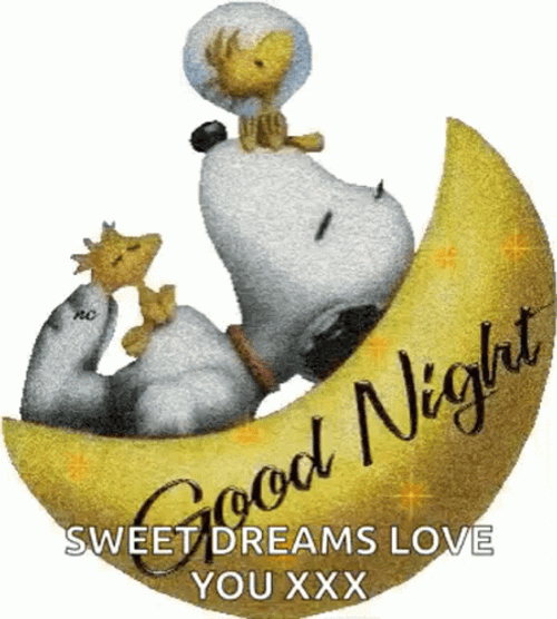 Love Good Night Sleeping Snoopy