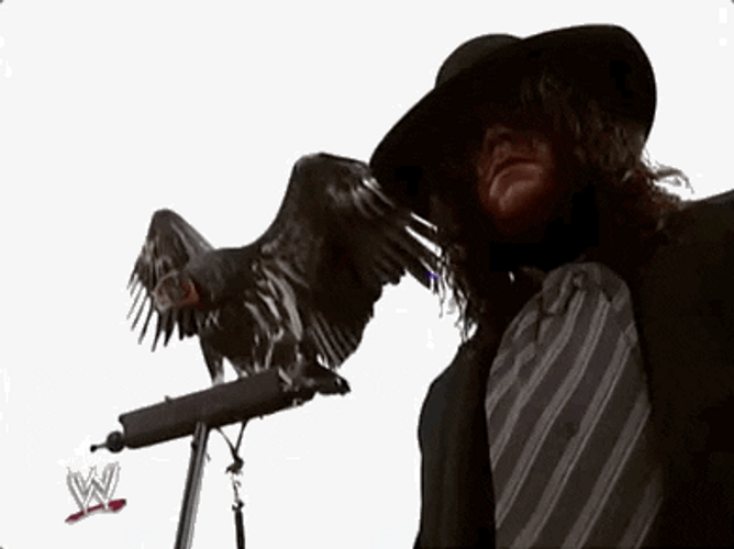 The Undertaker With Crow