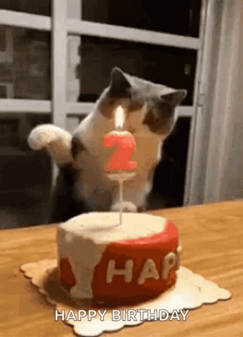 Happy Birthday Cat Turns