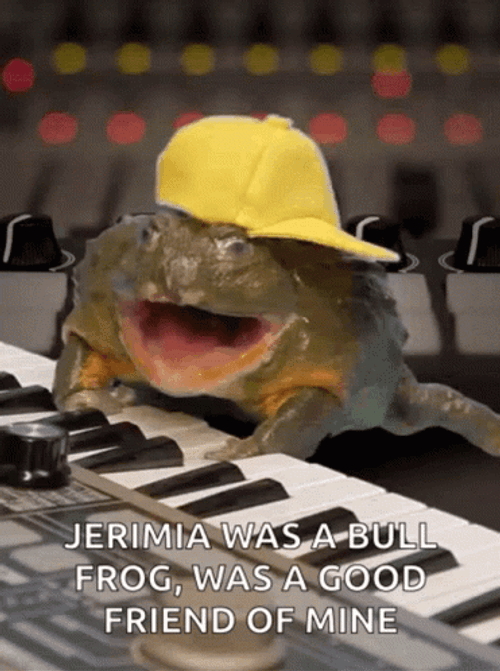 Rapper Frog Playing Piano